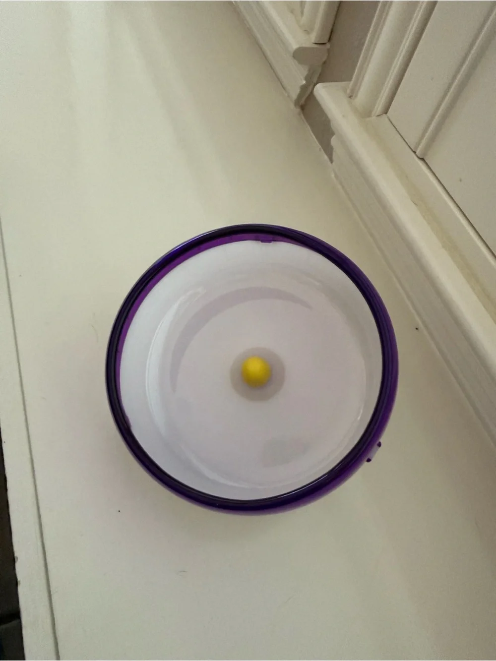 New Kaytee Purple & White Hamster Wheel